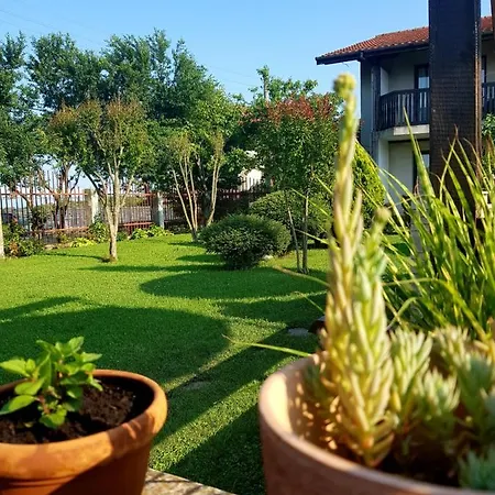 Отель Casa Domingo Синеморец