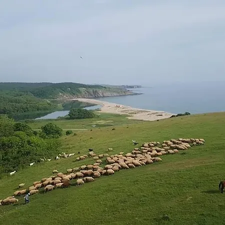 Отель Casa Domingo Синеморец