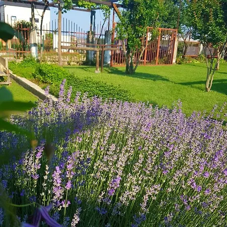 Отель Casa Domingo Синеморец