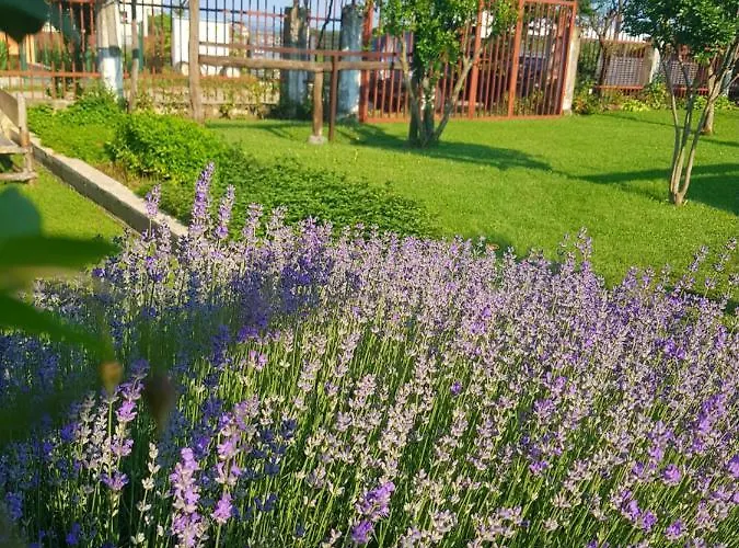 Otel Casa Domingo Sinemoretz